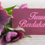 Rohaniawan Romo FX Mudji Sutrisno Berpulang pada Usia 71 Tahun di RS Carolus Jakarta